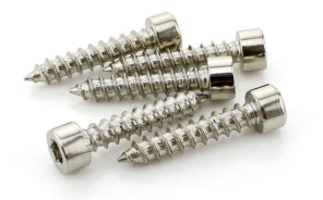 Stainless Steel Hex Socket Self-Tapping Screw