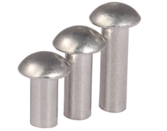 Stainless Steel Round Head Rivet